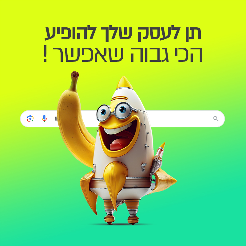 לידים לפרוטפוליו